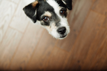 Das Content Sharing Tool Buffer im Personalmarketing einsetzen